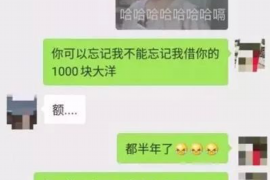 射阳为什么选择专业追讨公司来处理您的债务纠纷？