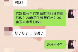 射阳如何避免债务纠纷？专业追讨公司教您应对之策